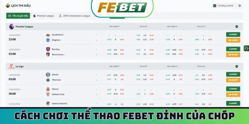 Cách chơi thể thao Febet đỉnh của chóp