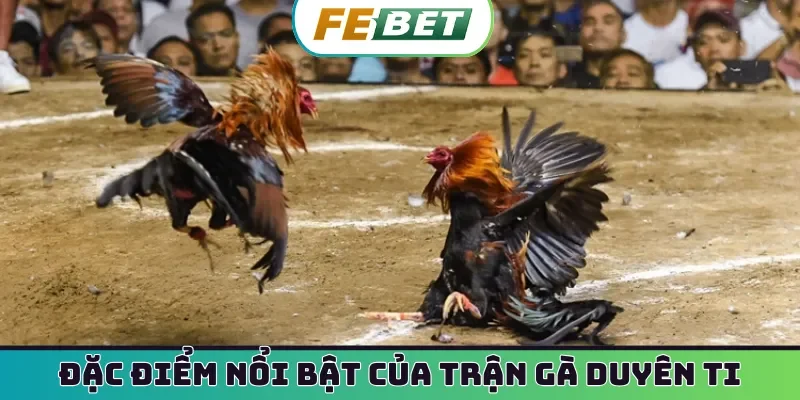 Đặc điểm nổi bật của trận gà duyên ti