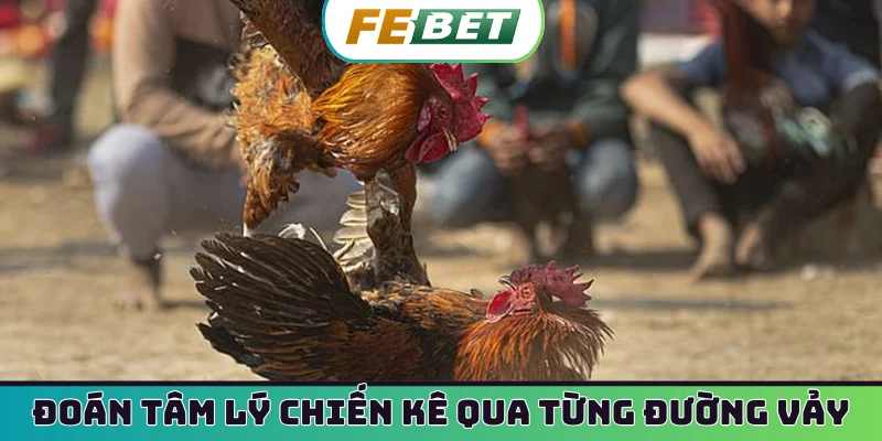 Đoán tâm lý chiến kê qua từng đường vảy