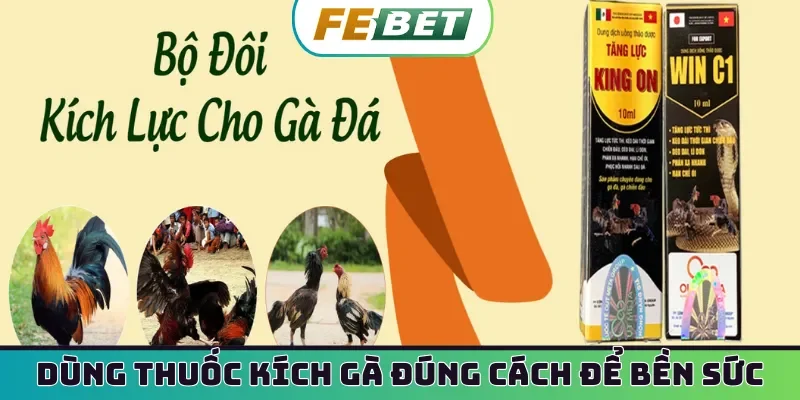 Dùng thuốc kích gà đúng cách để bền sức