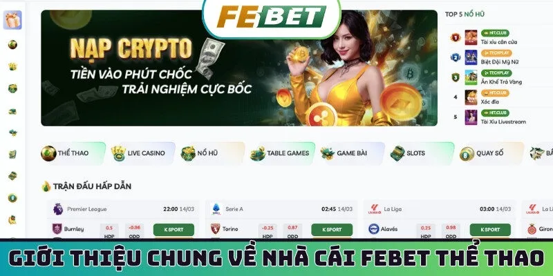 Giới thiệu chung về nhà cái FEBET thể thao