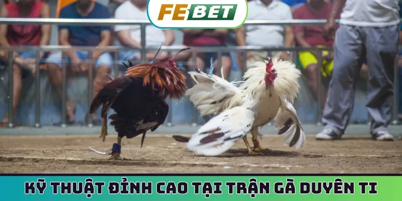 Kỹ thuật đỉnh cao tại trận gà duyên ti