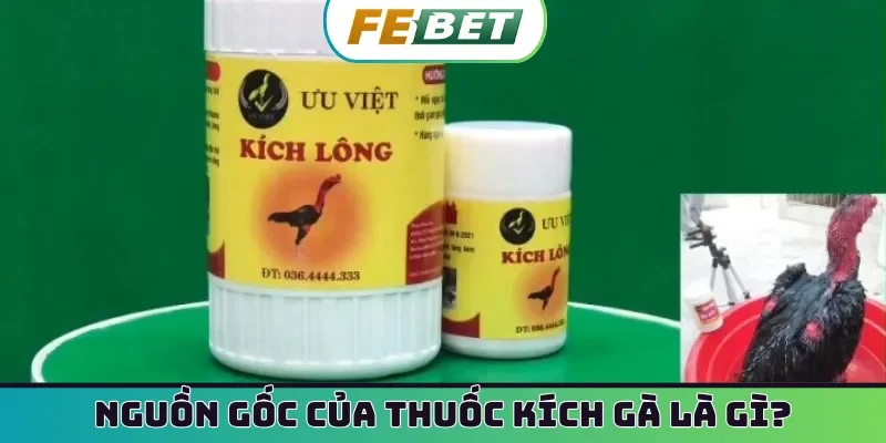 Nguồn gốc của thuốc kích gà là gì?