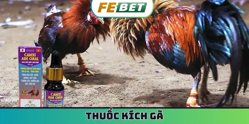 thuốc kích gà
